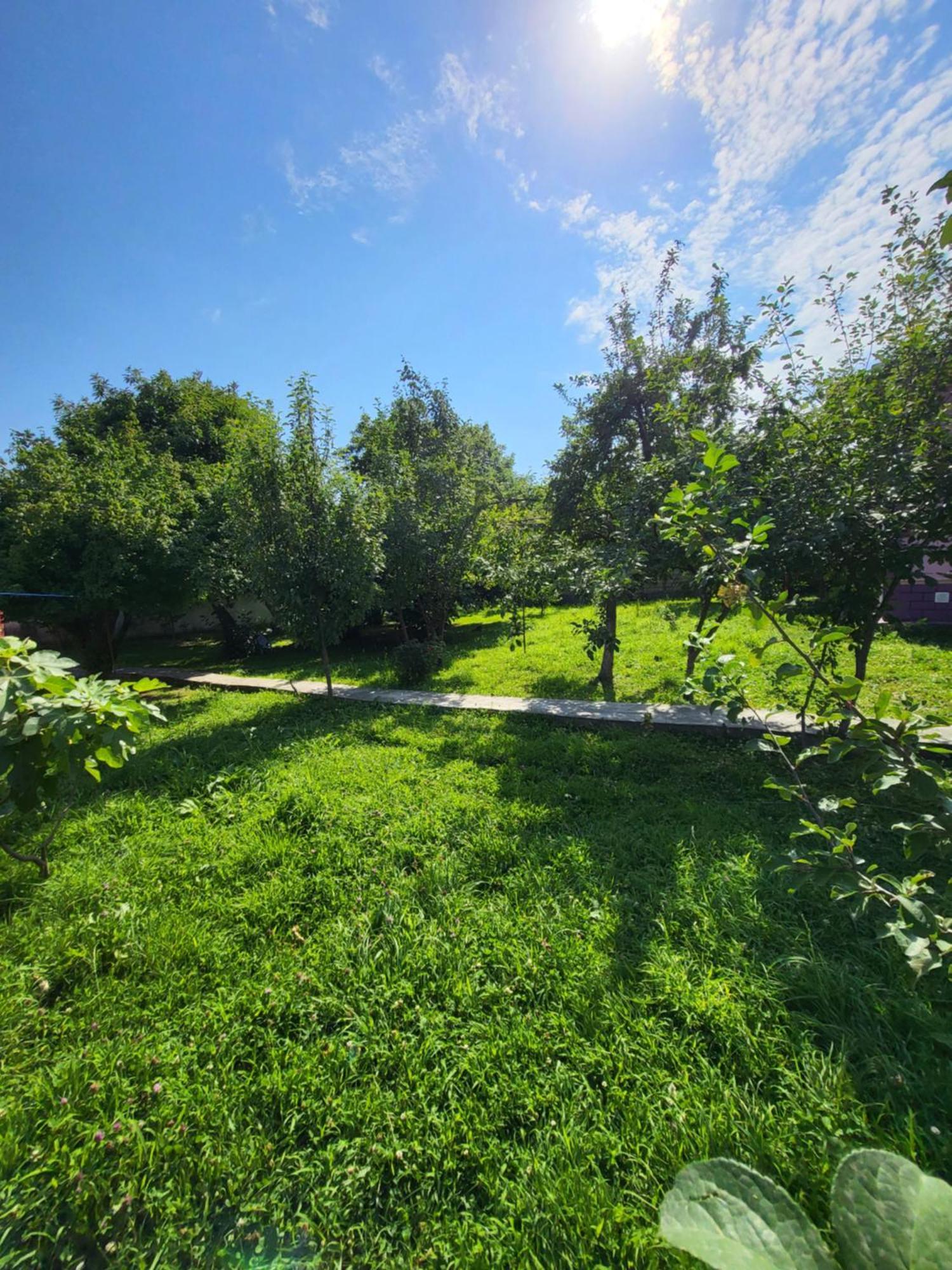 Gabala Garden Hostel Rom bilde